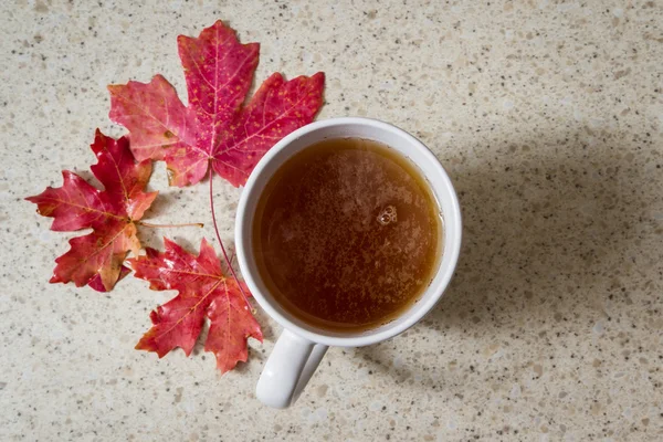 Hete thee in een herfst ochtend — Stockfoto