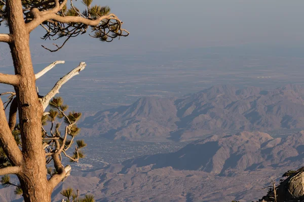 Smog in California — Foto Stock