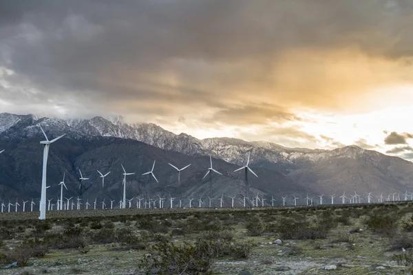 Énergie éolienne — Photo