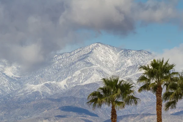 Neve in California — Foto Stock