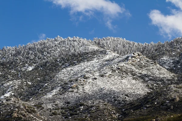 Verse sneeuw — Stockfoto