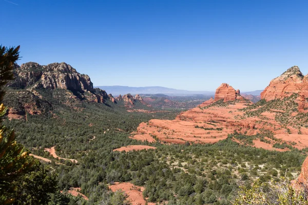 Roca roja, Sedona Arizona —  Fotos de Stock