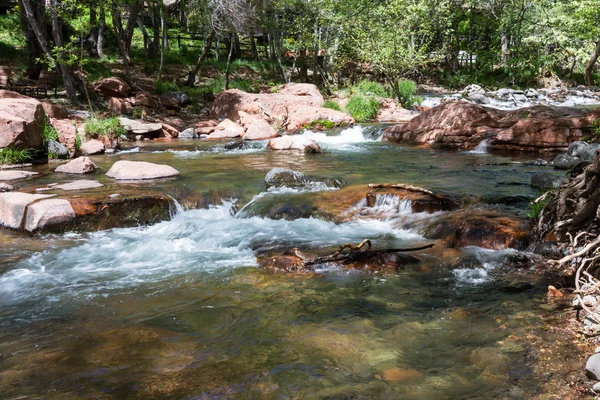 Río prístino — Foto de Stock