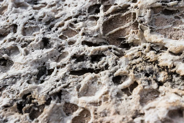 Kalkstein in arizona — Stockfoto
