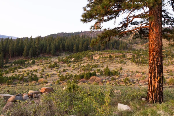 Salida del sol en las sierras — Foto de Stock