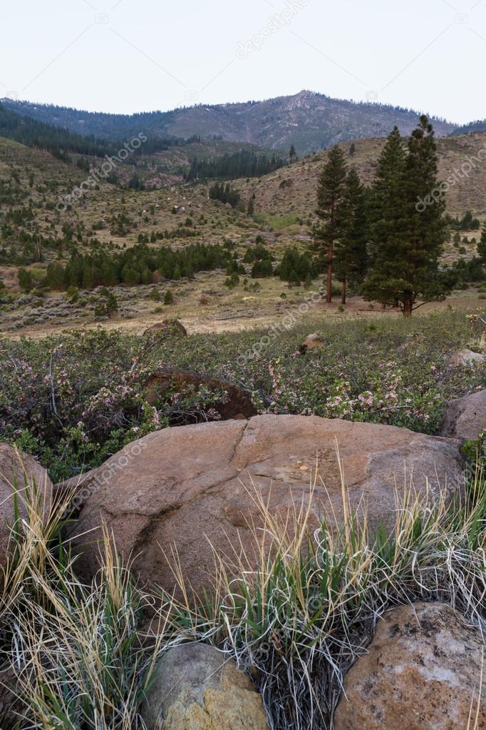 Sunrise in the Sierras