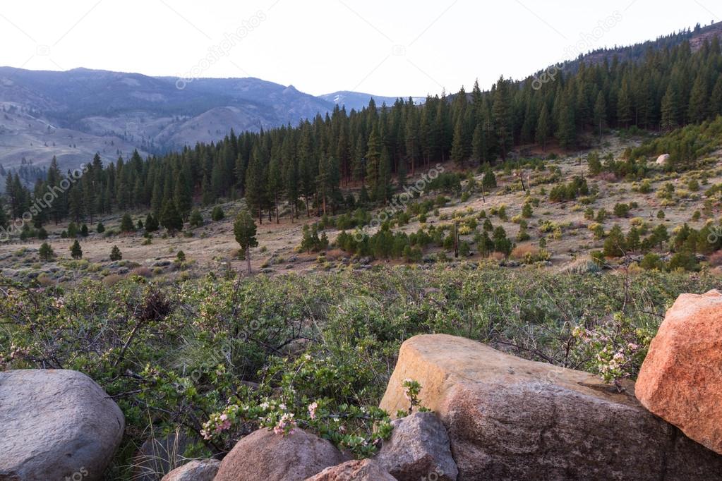 Sunrise in the Sierras