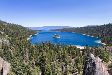 Zümrüt defne, lake tahoe