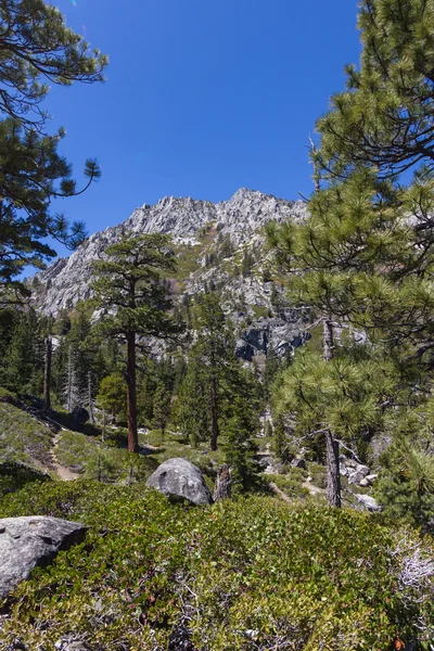 Sentieri escursionistici in California — Foto Stock