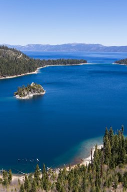 Zümrüt defne, lake tahoe