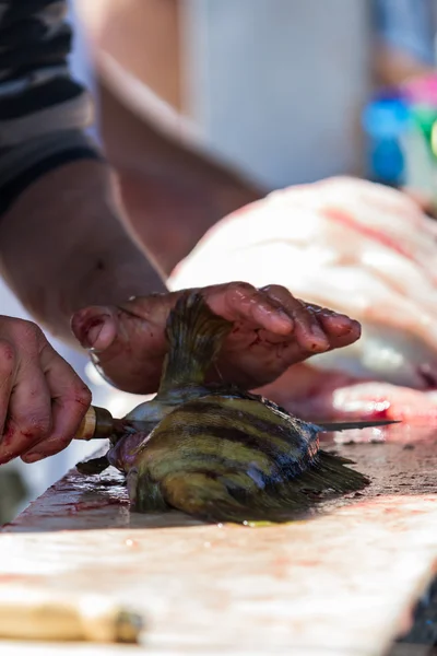 Pulizia del pesce — Foto Stock