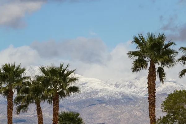 Neve na Califórnia — Fotografia de Stock