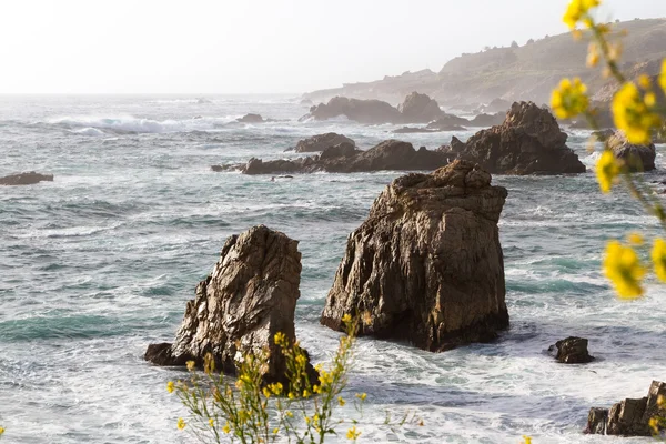 California coast — Stock Photo, Image