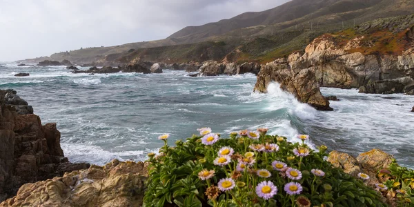 coastal scene