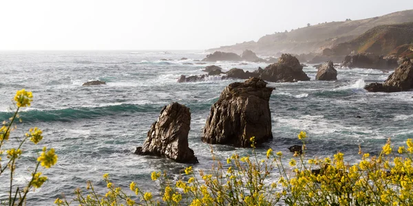 Costa de California — Foto de Stock