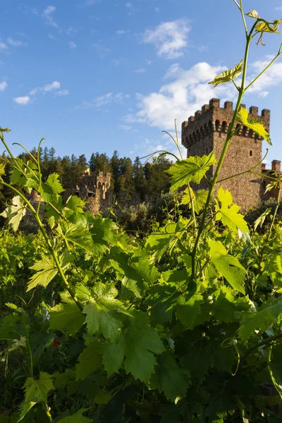 Castello del vino nella valle di Napa — Foto Stock