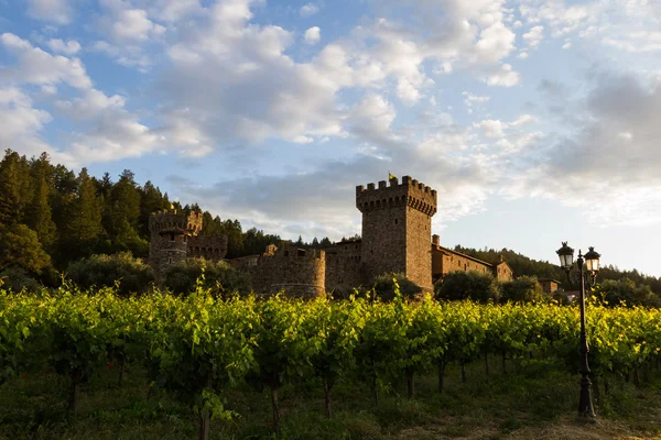 Castillo del vino en el valle de Napa —  Fotos de Stock