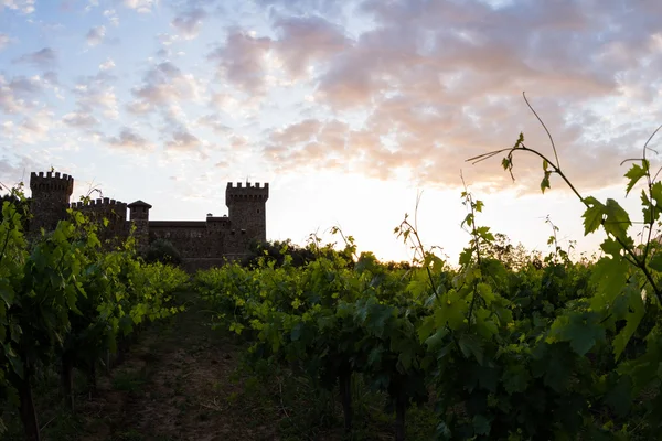 Vin slott i Napa Valley — Stockfoto