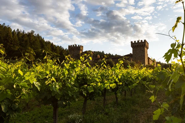 Castillo del vino en el valle de Napa —  Fotos de Stock