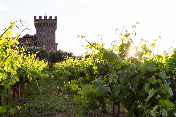 Castillo del vino en el valle de Napa — Foto de Stock