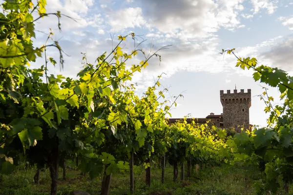 Wine castle in Napa Valley — Stock Photo, Image