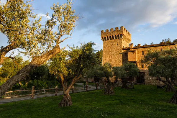 Castillo del Valle de Napa —  Fotos de Stock