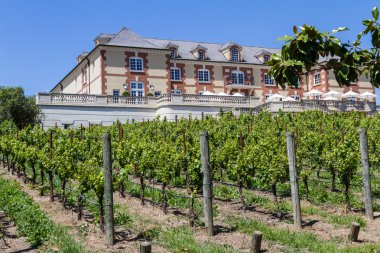 Domaine Carneros