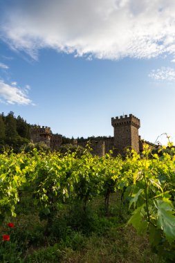 Napa Valley şarap Kalesi