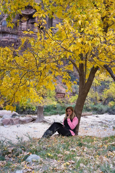 Autunno all'aperto — Foto Stock