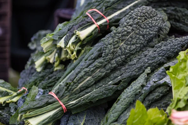 Fresh kale — Stock Photo, Image