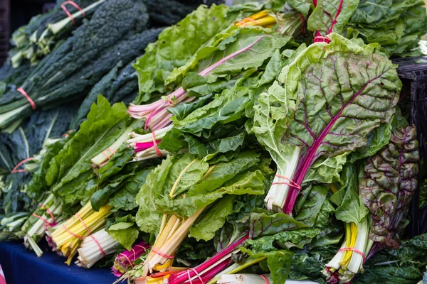 Fresh kale — Stock Photo, Image