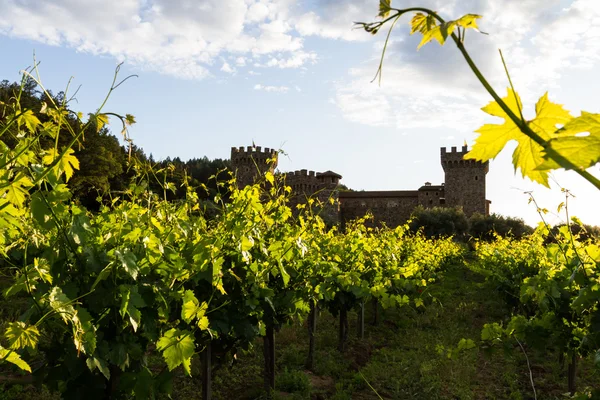 Castillo del vino en el valle de Napa — Foto de Stock