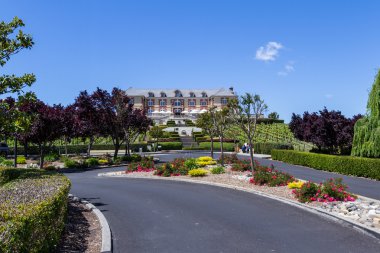 Domaine Carneros
