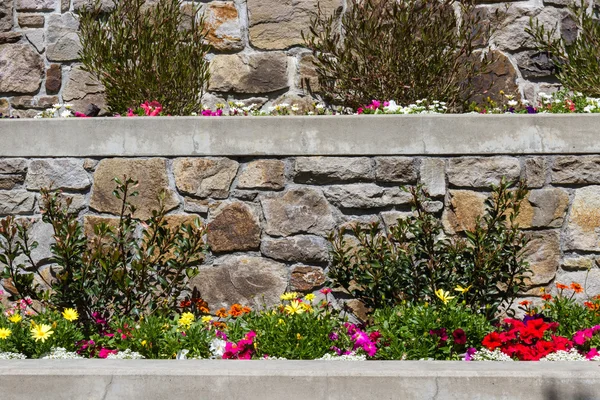 Frühlingsblumen — Stockfoto