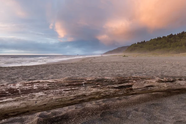 Lone beach — Stock Photo, Image