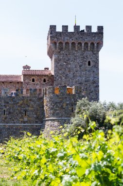 Napa Valley Castle