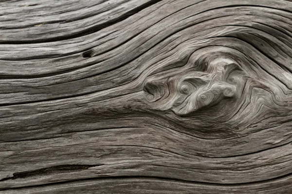 Driftwood — Stock Photo, Image