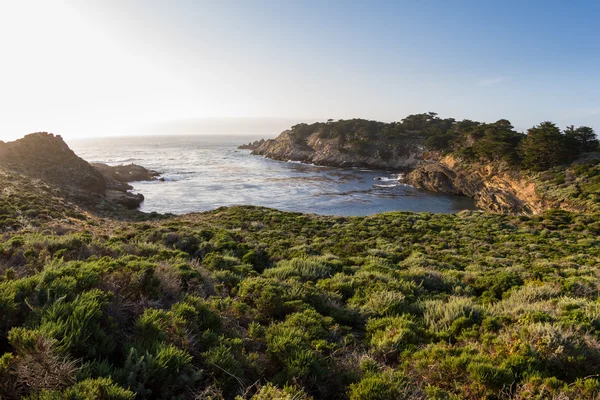 Costa de California — Foto de Stock