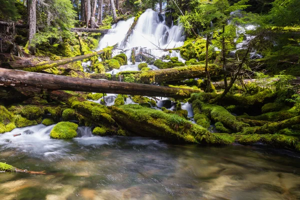 Natürliches Quellwasser — Stockfoto