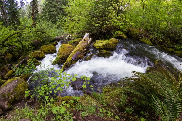 Natürliches Quellwasser — Stockfoto