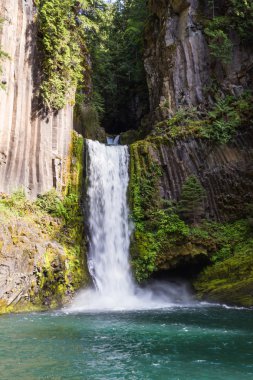 Toketee Falls, Oregon clipart