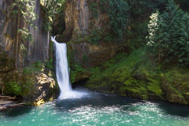 Toketee Falls, Oregon  clipart