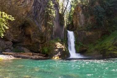 Toketee Falls, Oregon  clipart