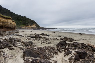 Oregon kıyılarında