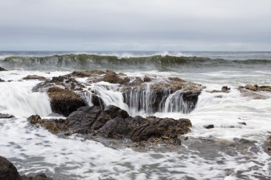Thor'un şey, Oregon kıyılarında