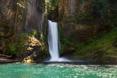Toketee Falls, Oregon  clipart