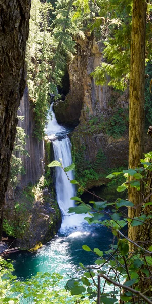 Toketee Falls, Oregon — Fotografia de Stock