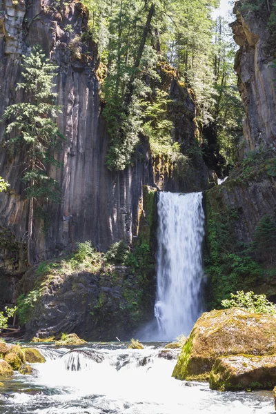 Toketee Falls, Oregon — Stock fotografie