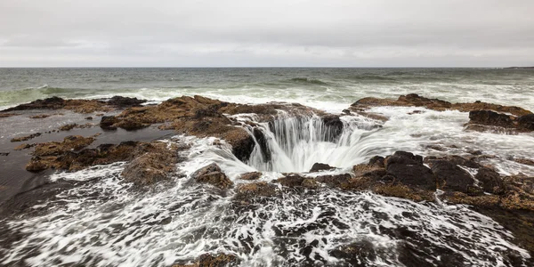 Thor va bien, Oregon. — Photo