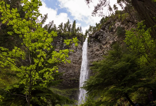 Watson Falls, Oregon — Stock Photo, Image